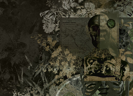 Skull Candy MU13048