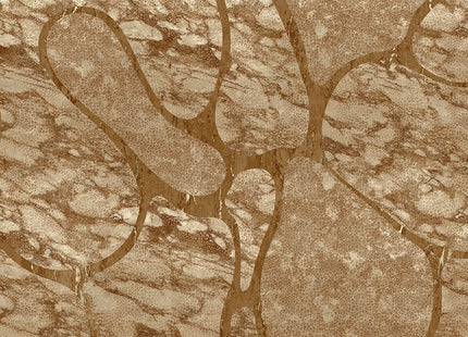 A line in the sand MU13057