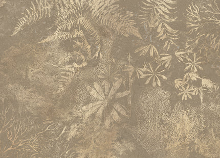 Coral Grove MU13077T