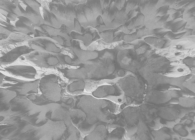 Coral on the wall MU13096T