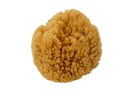 Naturschwamm