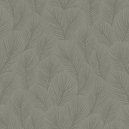 Muster Pine Tree 4704