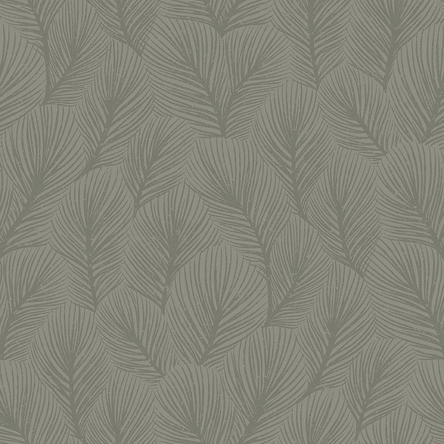 Muster Pine Tree 4704