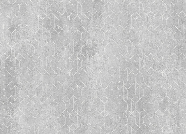 Mesh Silver PRI502