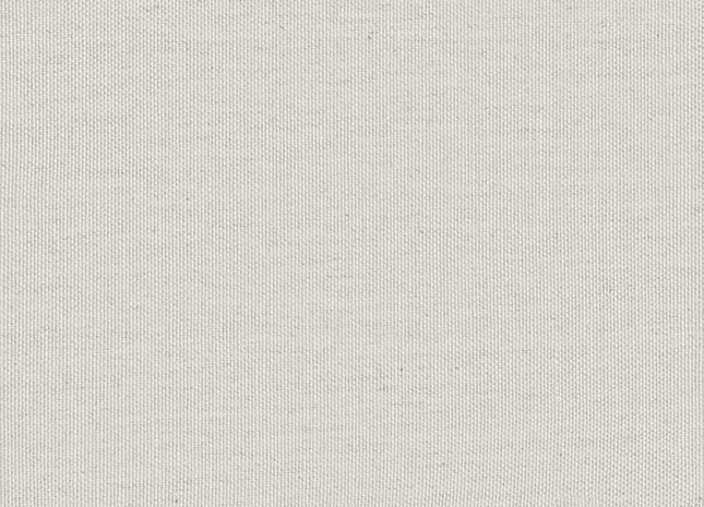 Raw PU301