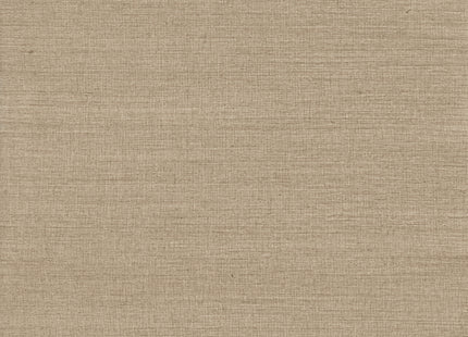 Elementary PU461