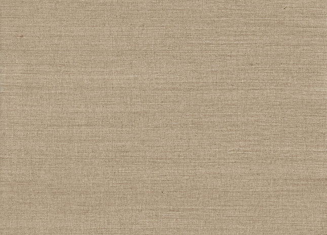 Elementary PU461