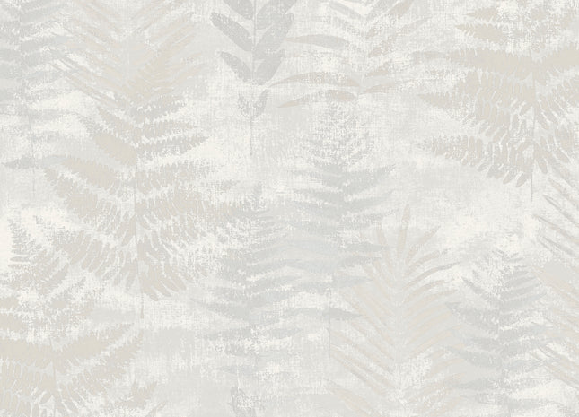 Fern RE25150