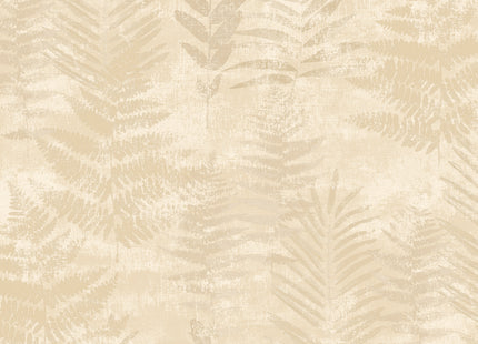 Fern RE25151