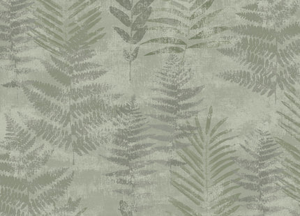 Fern RE25154