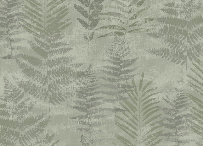 Fern RE25154
