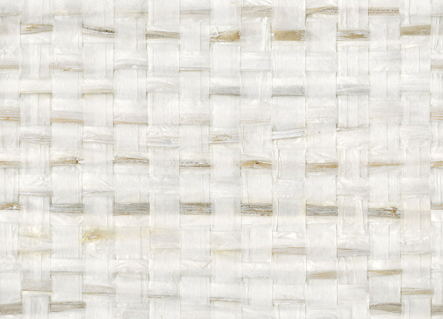 Shades of Pale SOP1031