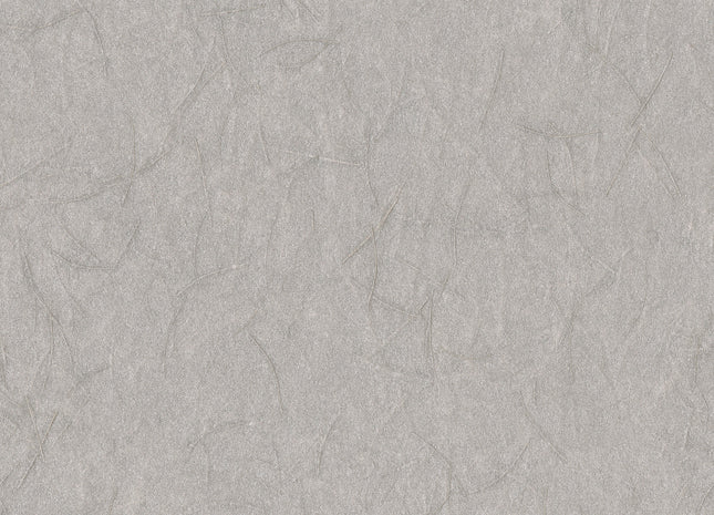 Shades of Pale SOP3103