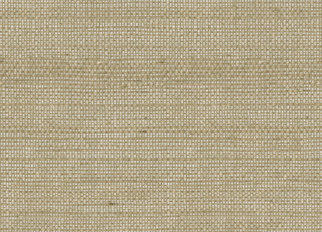 Shades of Pale SOP4101