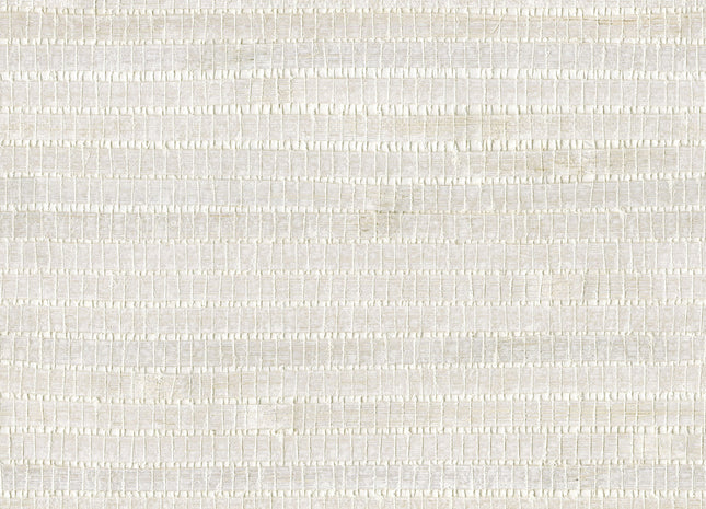 Shades of Pale SOP4111