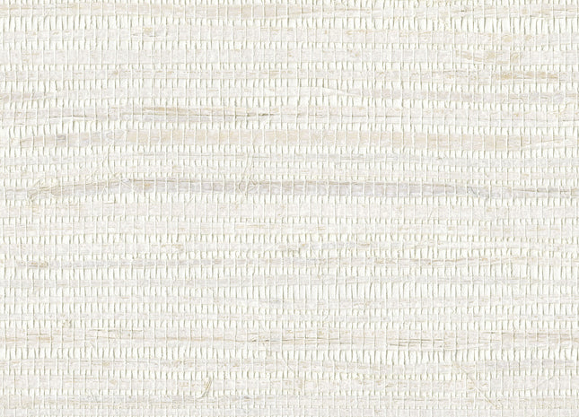 Shades of Pale SOP4124