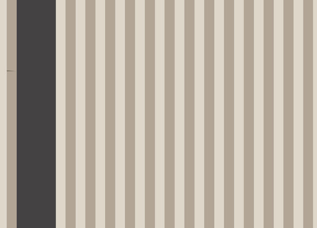Stripe (Carte Blanche) 5029496024913