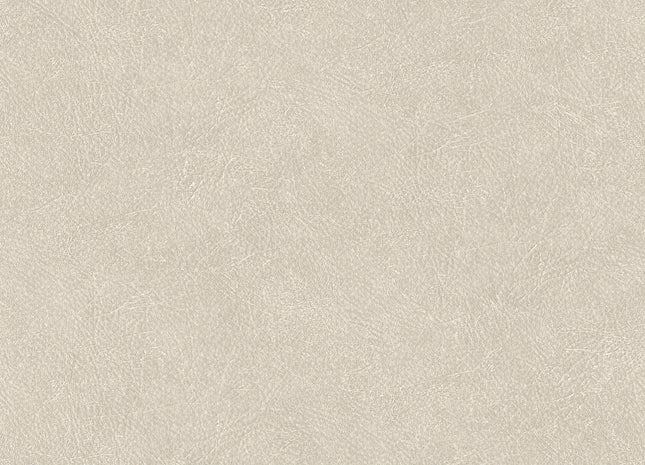 LEATHER PLAIN TA25020