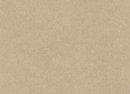 LEATHER PLAIN TA25021