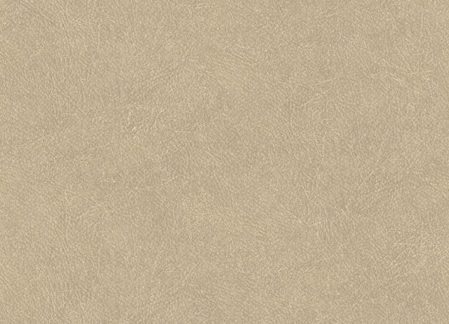 LEATHER PLAIN TA25021