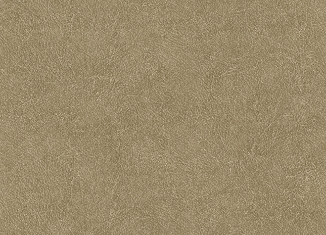 LEATHER PLAIN TA25022