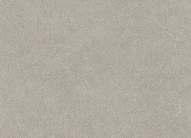 LEATHER PLAIN TA25023