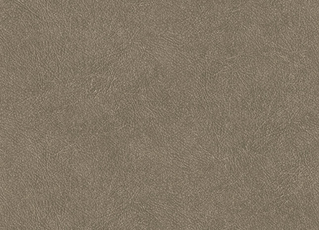 LEATHER PLAIN TA25024