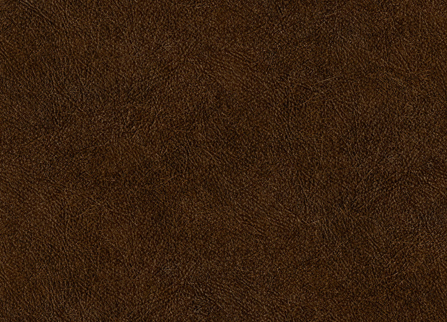 LEATHER PLAIN TA25025