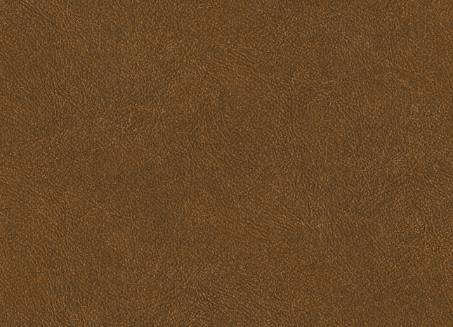 LEATHER PLAIN TA25026