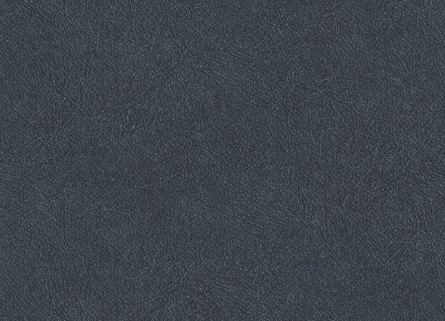 LEATHER PLAIN TA25027
