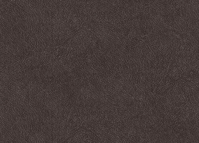 LEATHER PLAIN TA25028