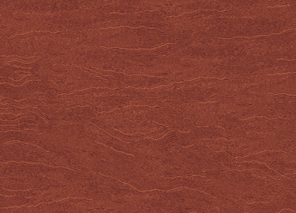Miri Sienna TER004