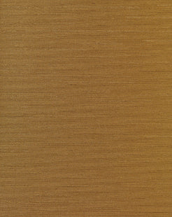 Tessera 1071.20