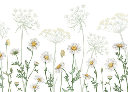 Dazzling Daisies white 2009