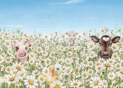 Farm Animals