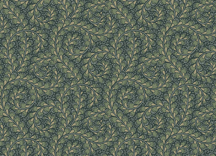 Wild Ferns 2258